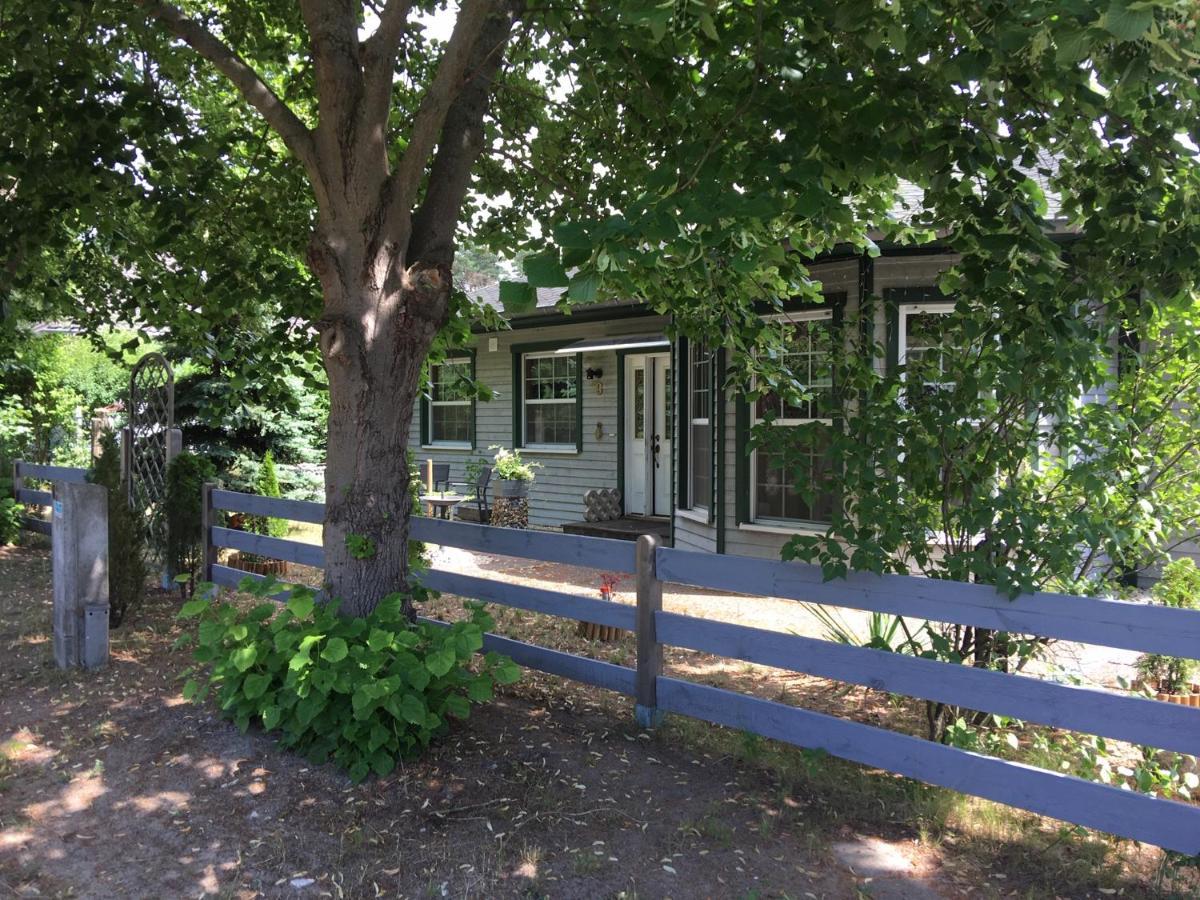 Ferienhaus Ahornallee 文迪施里茨 外观 照片