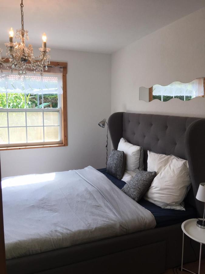 Ferienhaus Ahornallee 文迪施里茨 外观 照片